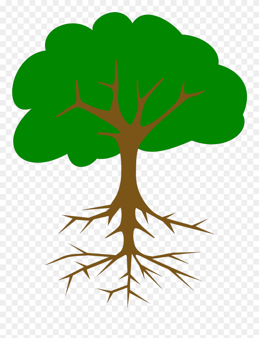 Tree Clipart With Roots - Png Download