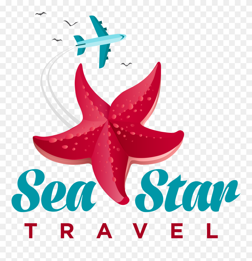 Transparent Sea Star Png Clipart