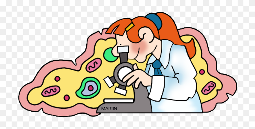 Lesson Writing Cell Organelle Analogies - Science Phillip Martin Clipart - Png Download