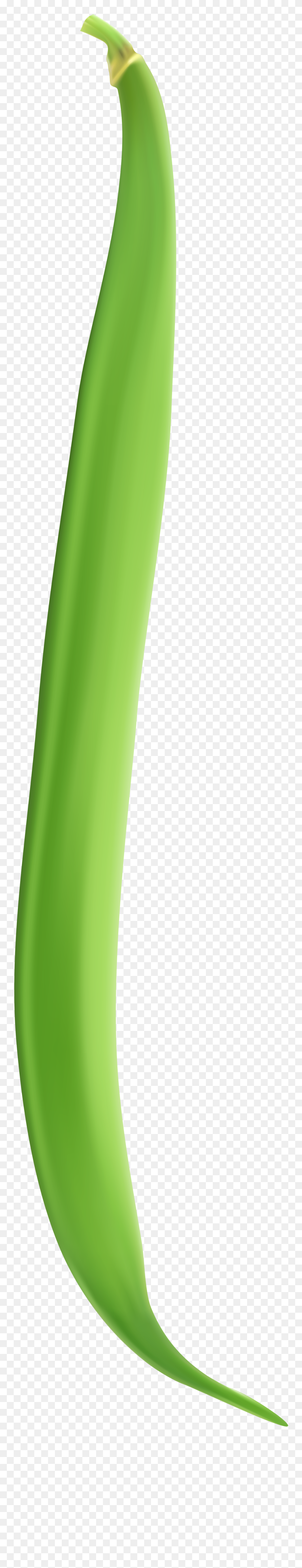 Png String Bean People Clipart
