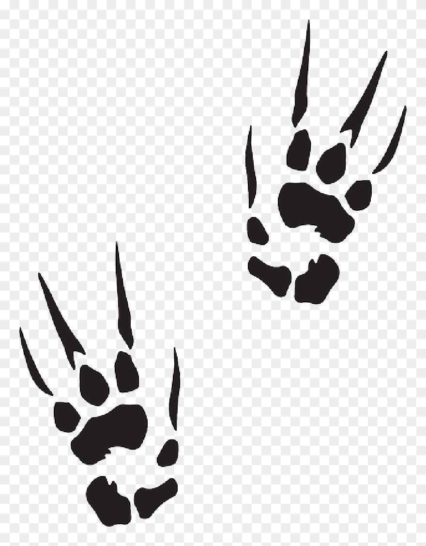 Marks, Animal, Claw, Tracks, Prints, Trail, Print, - Dragon Paw Prints Clipart