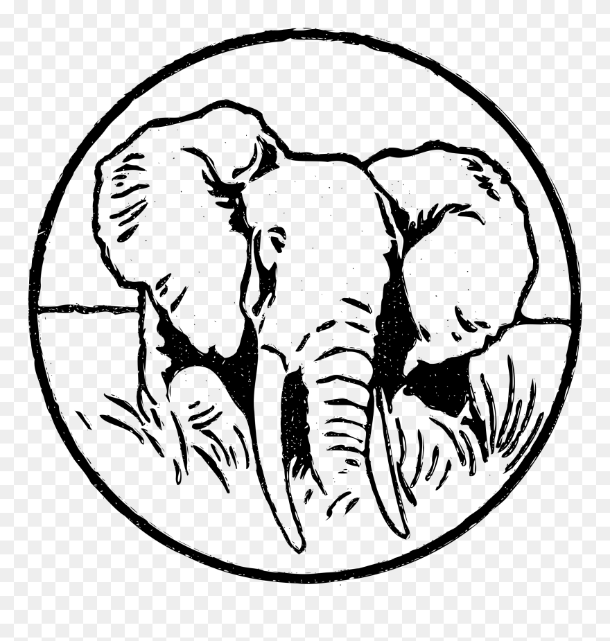 Transparent Elephant Head Clipart - Indian Elephant - Png Download