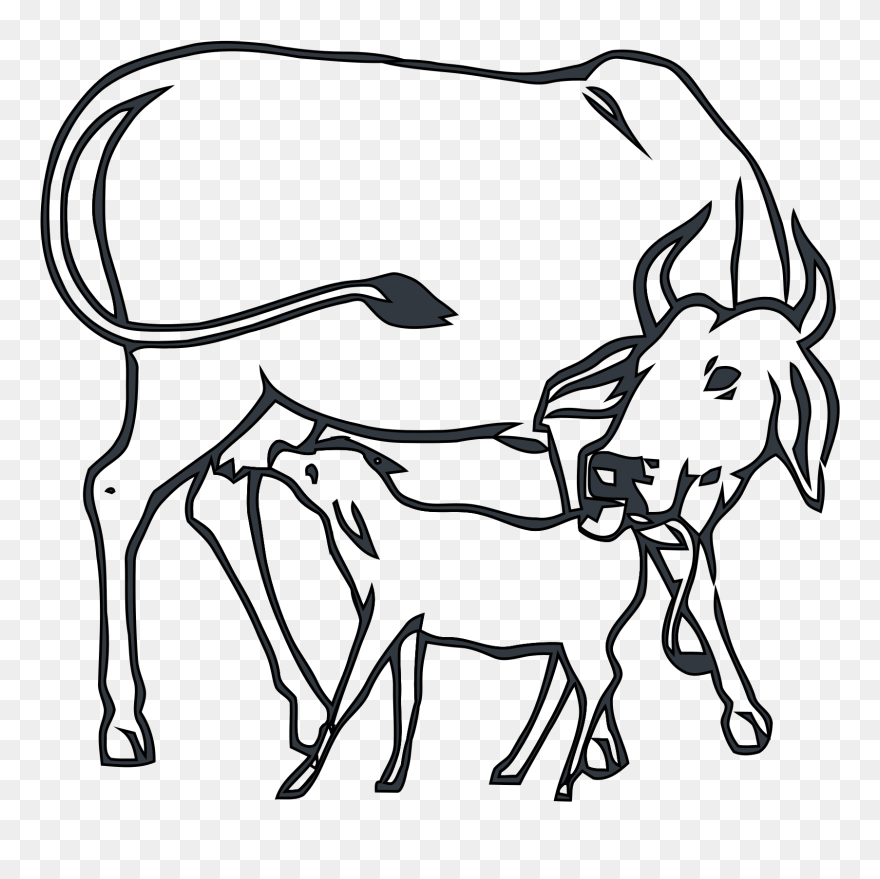 Drawing The Cow With Calf Clipart