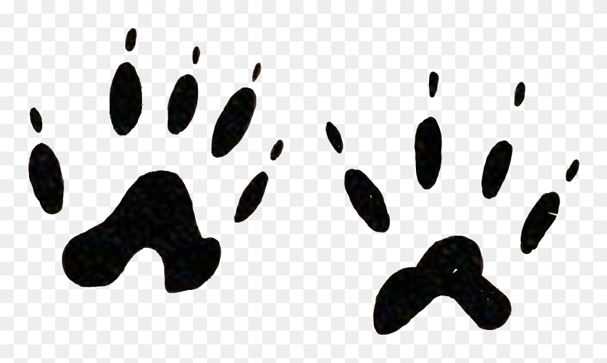#footprints #animal #tatoo #wild #pawns #cat #catlove - Illustration Clipart