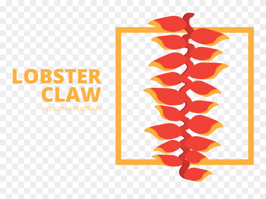 Identifying Streets Clipart