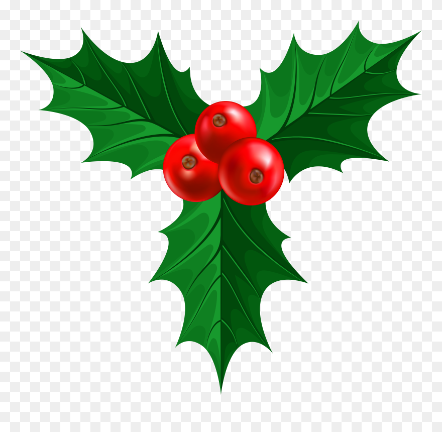 Transparent Background High Resolution Holly Clipart - Png Download