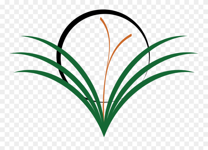 Plant,flora,leaf - Clip Art - Png Download