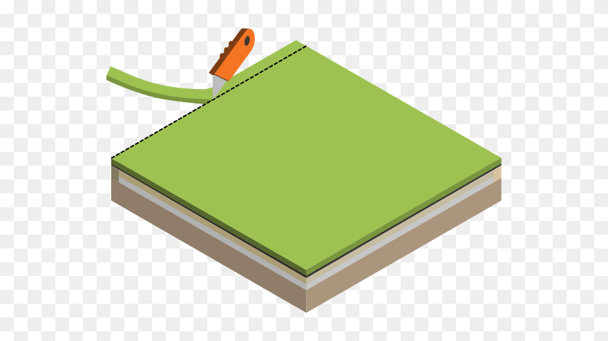 Illustration Clipart