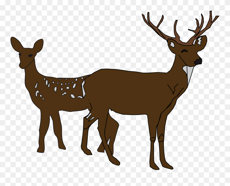 Forest Deer Scene - Deer Silhouette Transparent Background Clipart