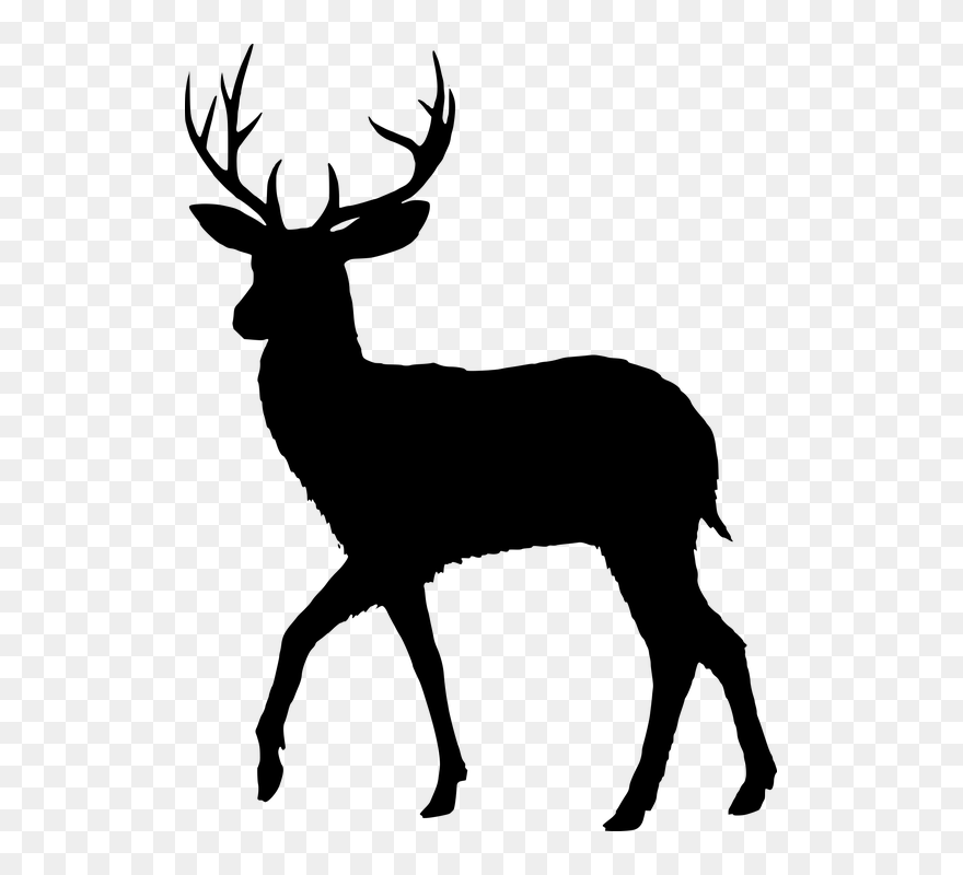 Free Photo Dama Wild - Deer Silhouette Transparent Background Clipart