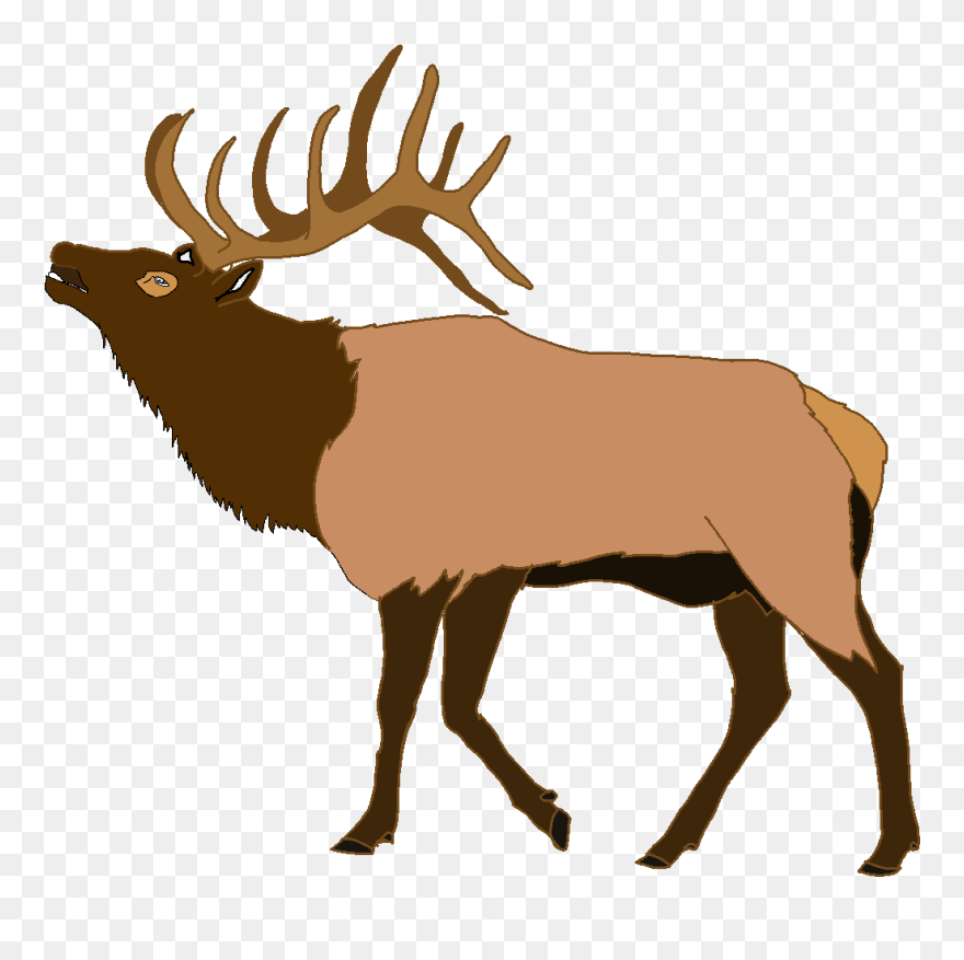 Elk Clipart - Png Download