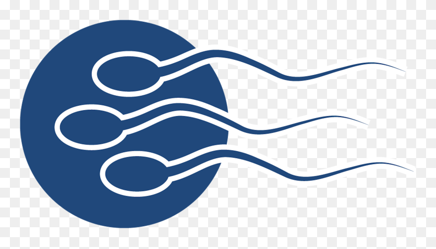 Experts In Equine Reproduction & Embryo Transfer - Circle Clipart