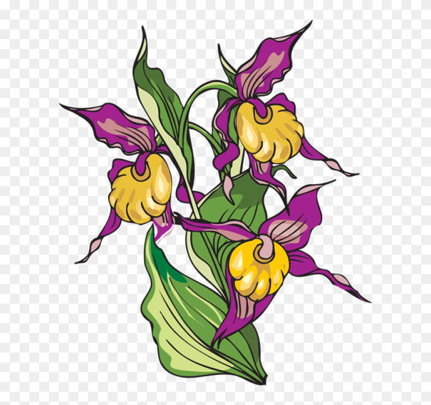 Clip Art - Png Download