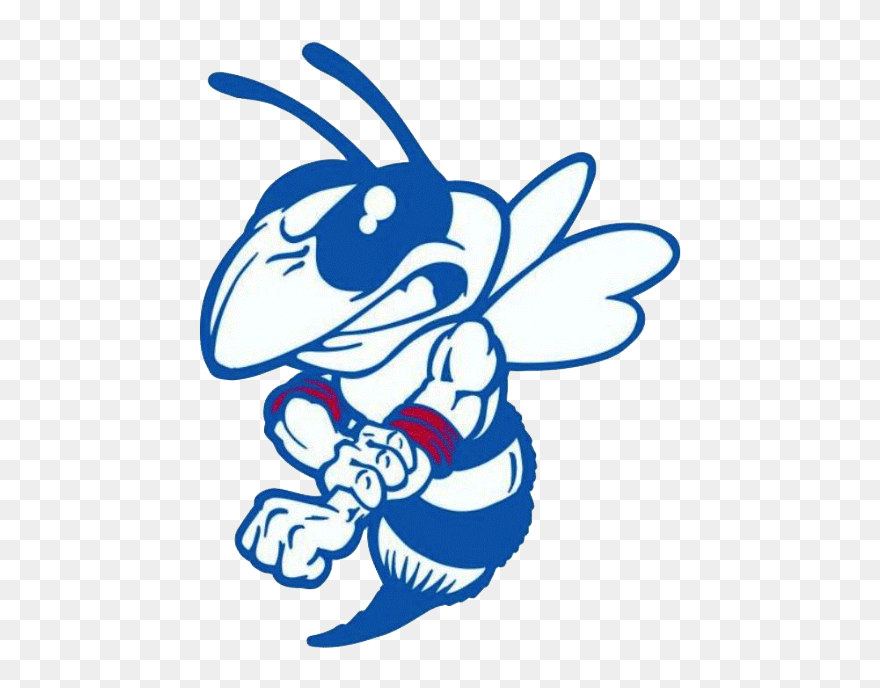School Logo Image - East Canton Hornets Logo Clipart