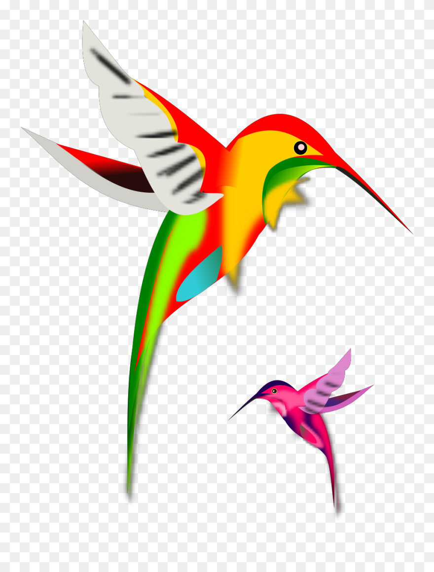 Flower And Humming Bird Clip Art - Png Download