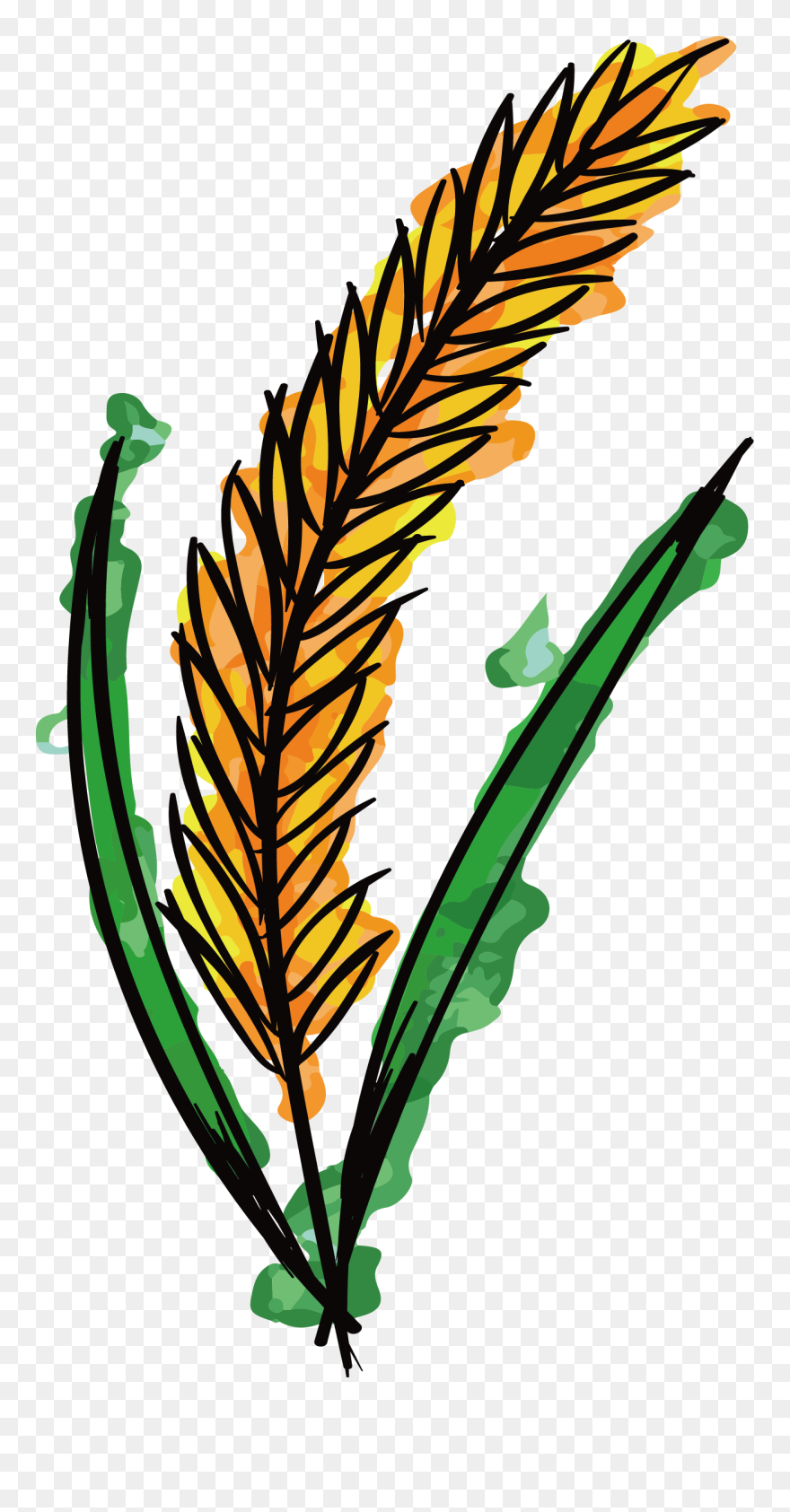 Vector Wheat Watercolor - Wheat Watercolor Png Clipart