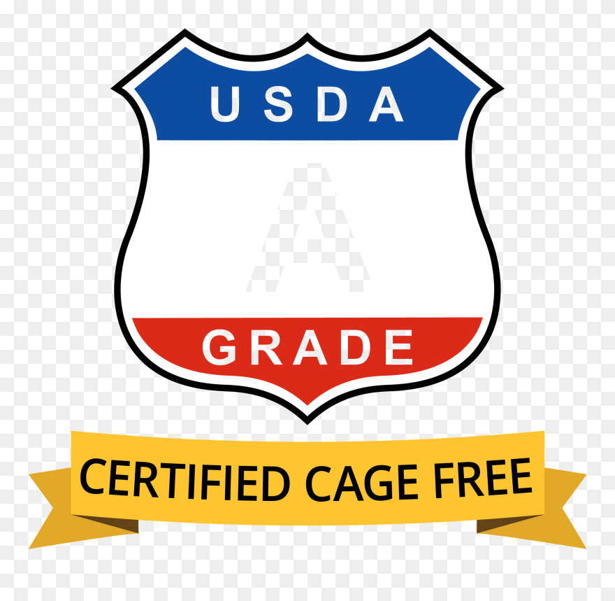 Certified For Windows Vista Clipart