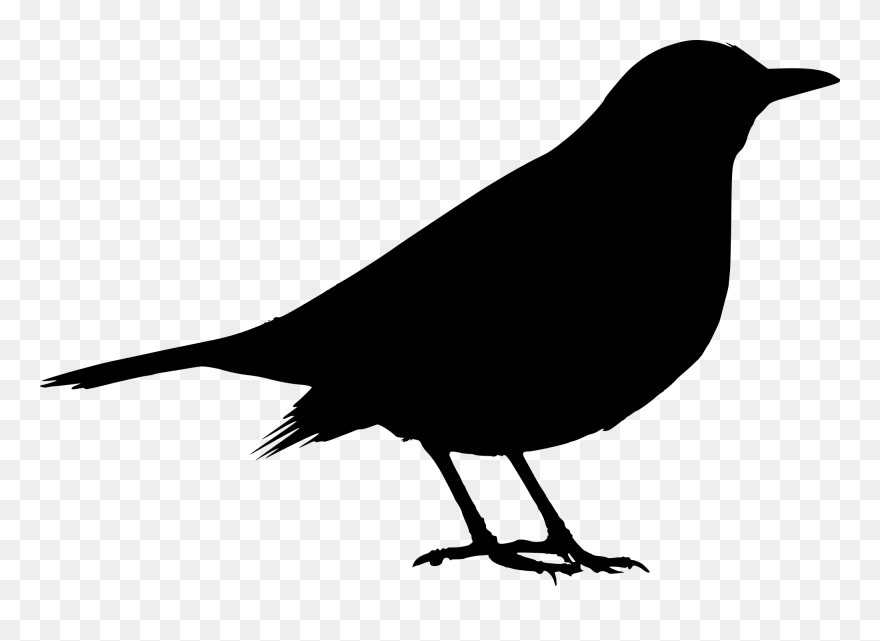 Common Blackbird Silhouette Clip Art - Blackbird Silhouette - Png Download