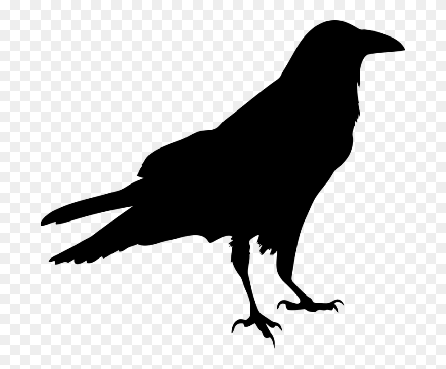 Blackbird Silhouette Clip Art - Black Bird - Png Download