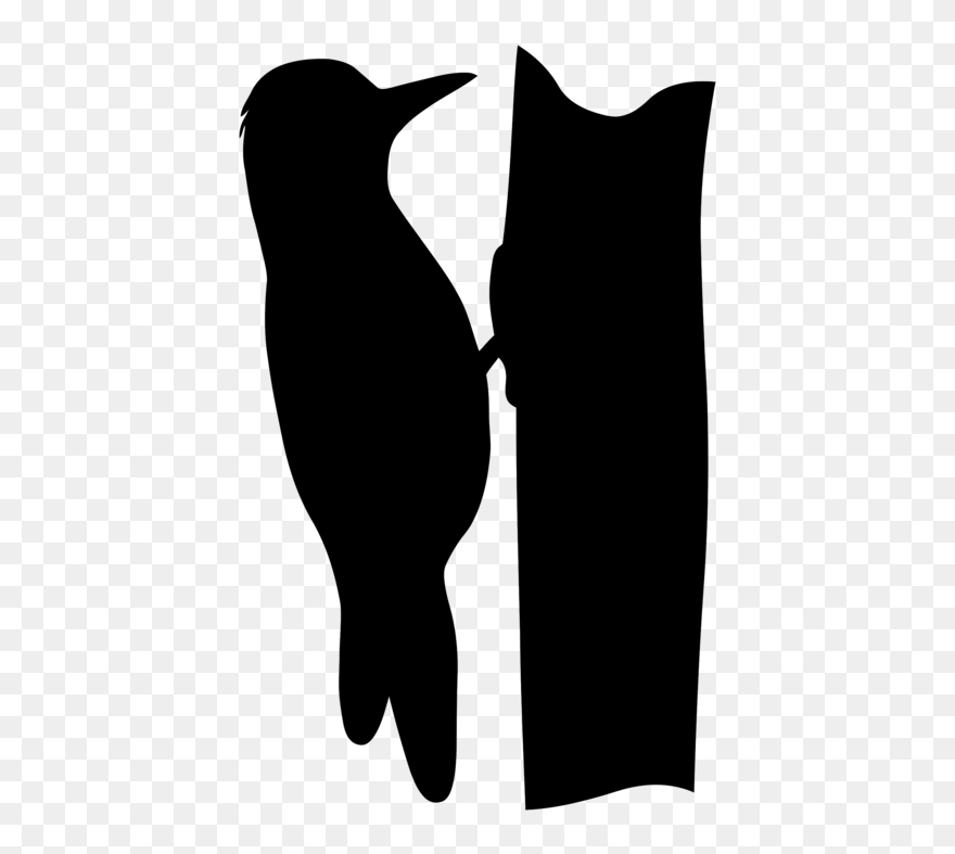 European Green Woodpecker Bird Silhouette Drawing - Woodpecker Svg Clipart