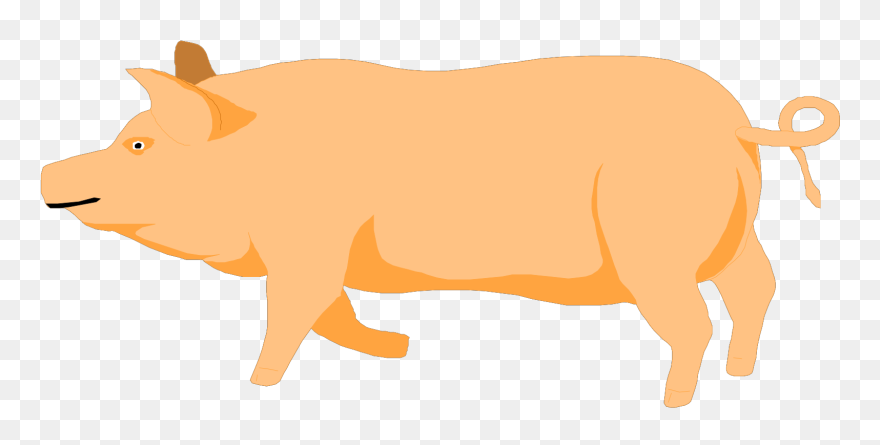 A Pig Svg Clip Arts - Transparent Orange Pig - Png Download