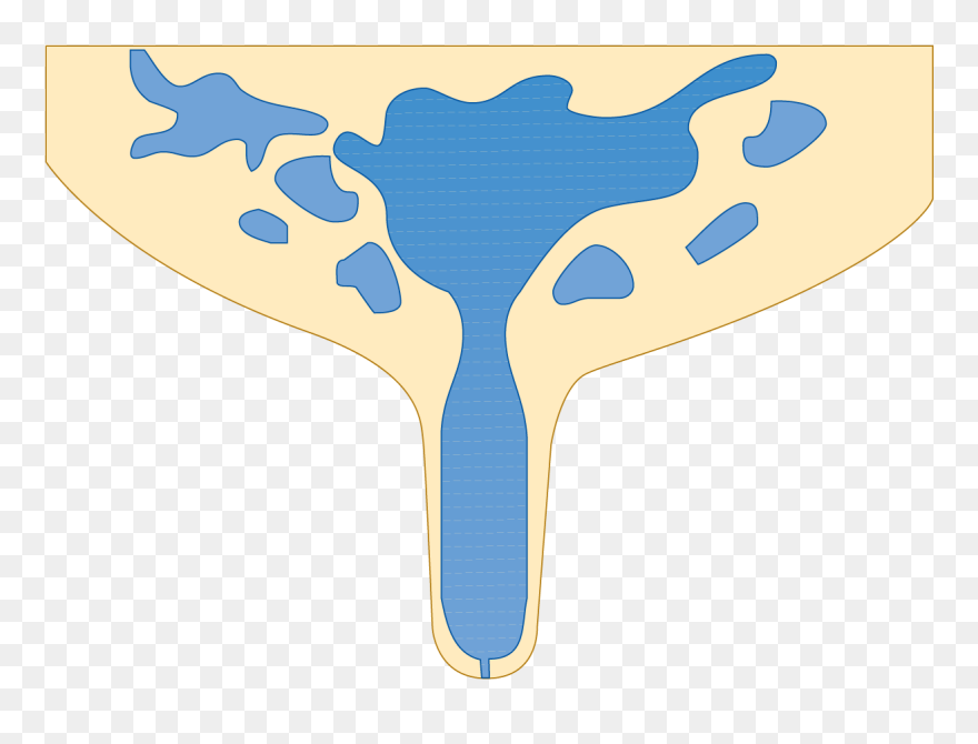 Clip Art - Png Download