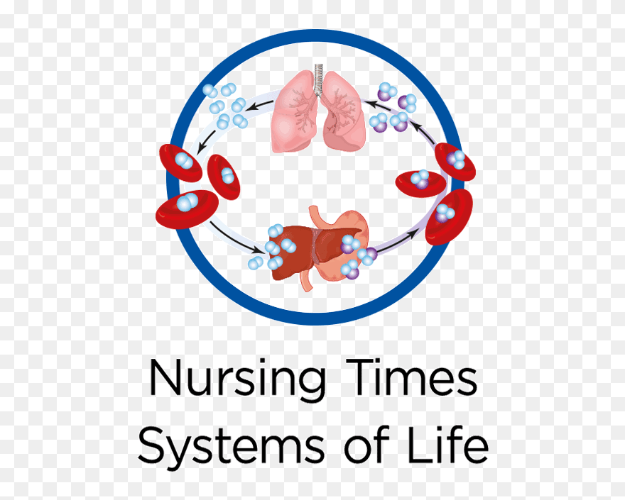 Breathe Clipart Breathing Rate - Gas Exchange In The Lungs - Png Download