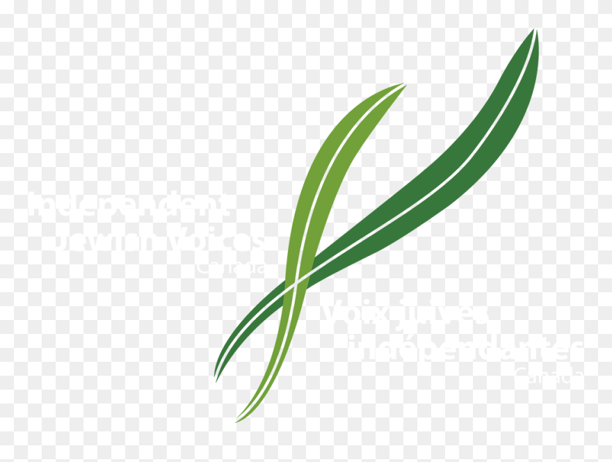 Independent Jewish Voices Canada Clipart