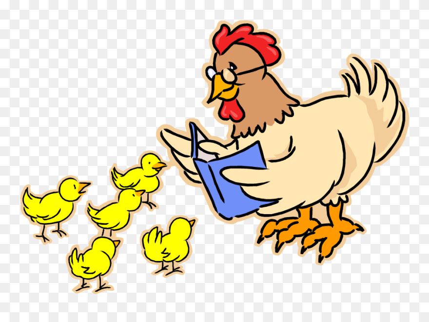 Clip Art Story - Chicken Reading A Book - Png Download