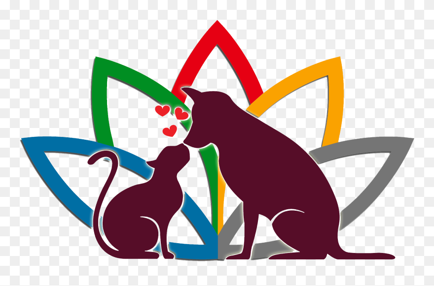 Veterinarian Clipart Boy - Animal Options - Png Download