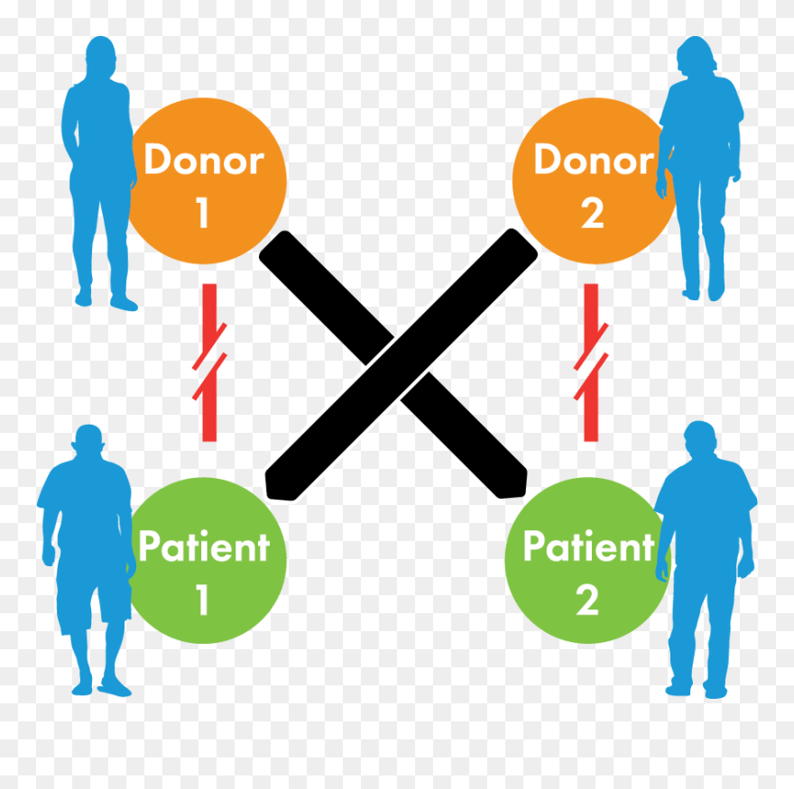 Kidney Paired Donation Graphic Unos Clipart
