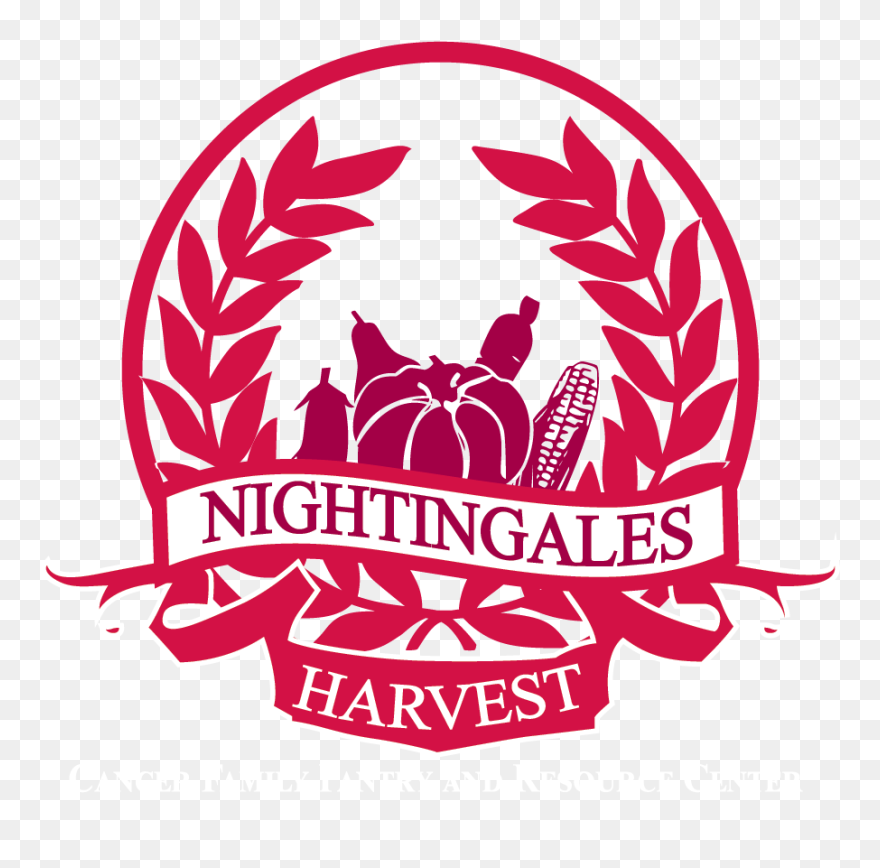 Università Degli Studi Niccolò Cusano Clipart