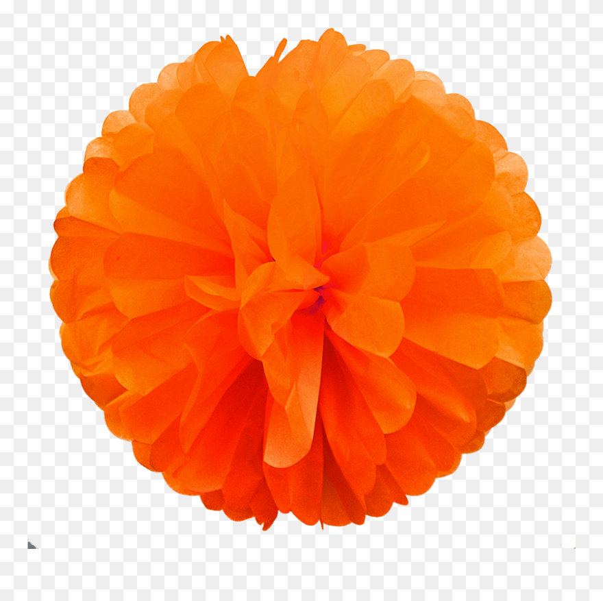 Ruffle Clipart