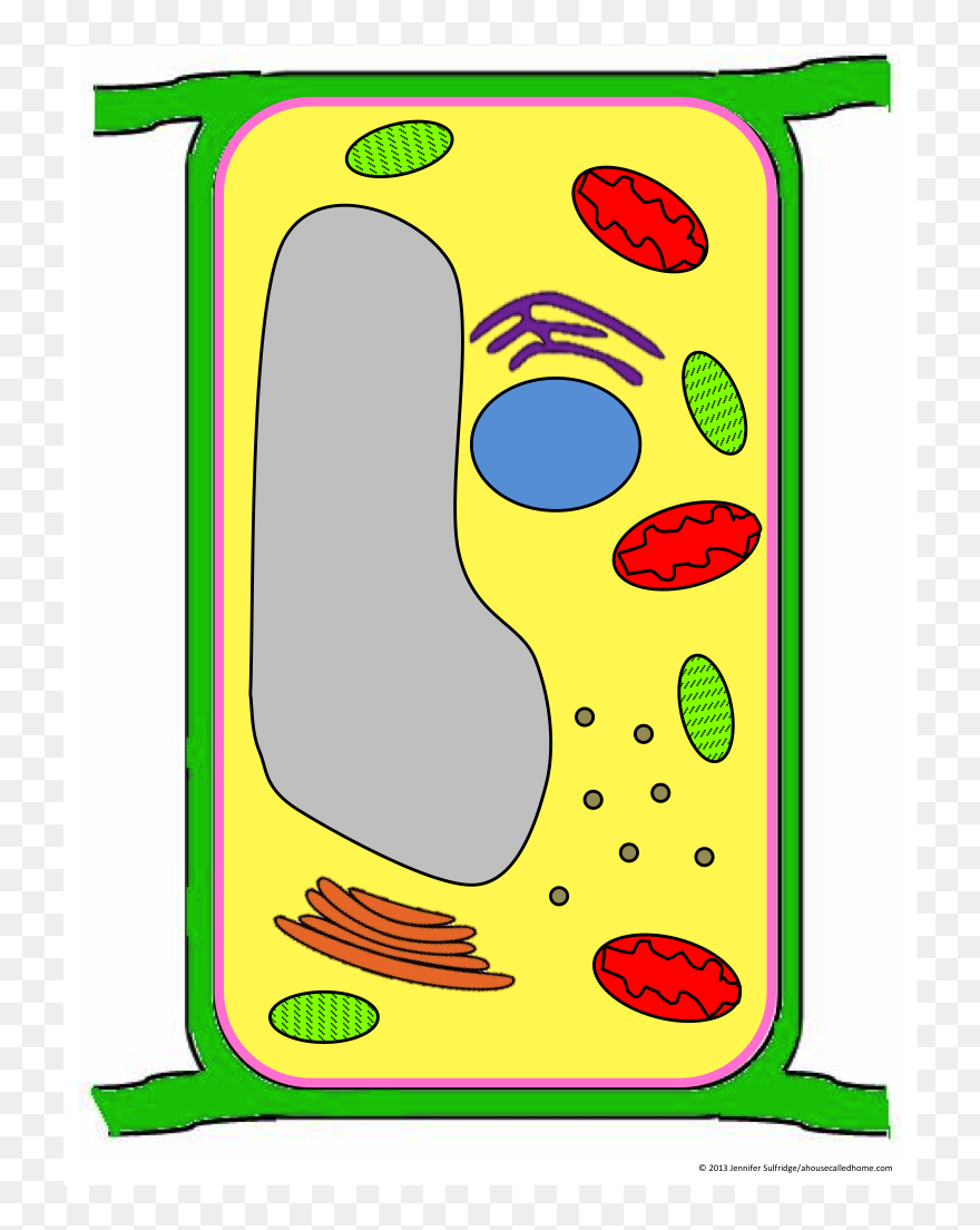 Label Clipart Plant Cell - Plant Cell Clipart - Png Download