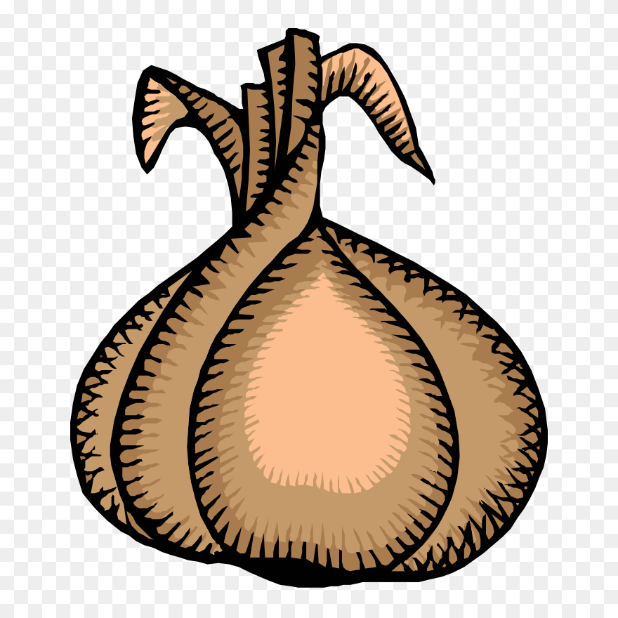 Onion Clip Art Download - Onion Clip Art - Png Download