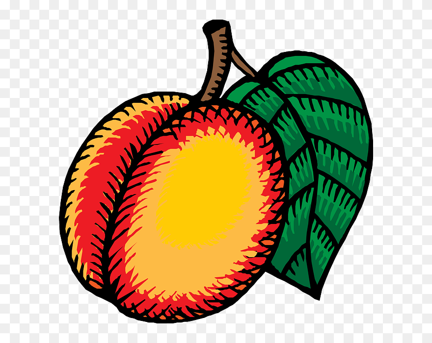 Food, Fruit, Leaf, Cartoon, Kiwi, Nectarine, Recipes - Nectarines Drawing Clipart