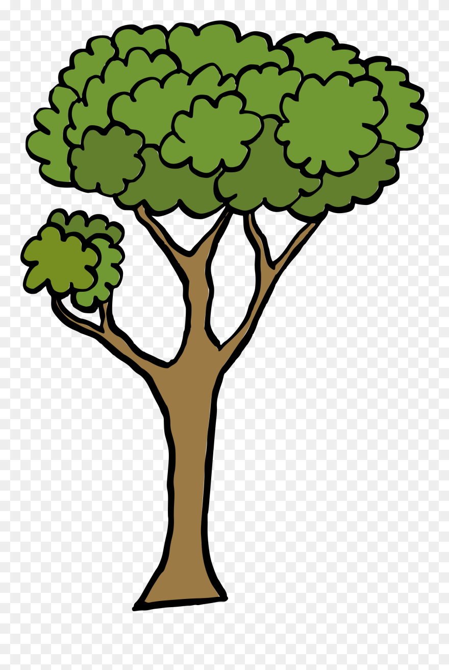 Cartoon Tree 1 - Cartoon Tree Transparent Background Clipart