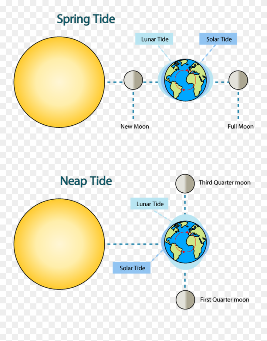 Sunlight Clipart Quarter - Spring Tide Moon Position - Png Download