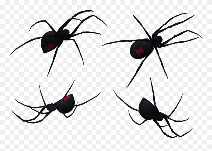 Black Widow Spider Set 05 By Free Stock By Wayne On - Black Widow Spider Silhouette Png Clipart