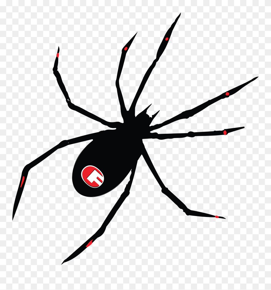 Transparent Black Widow Clipart - Spider 08 - Png Download