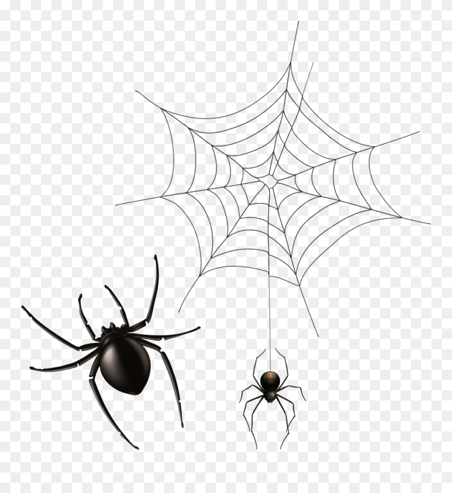 Halloween Cobwebs Clipart 7 Spider Web Png Bear - Transparent Background Spider Web Transparent