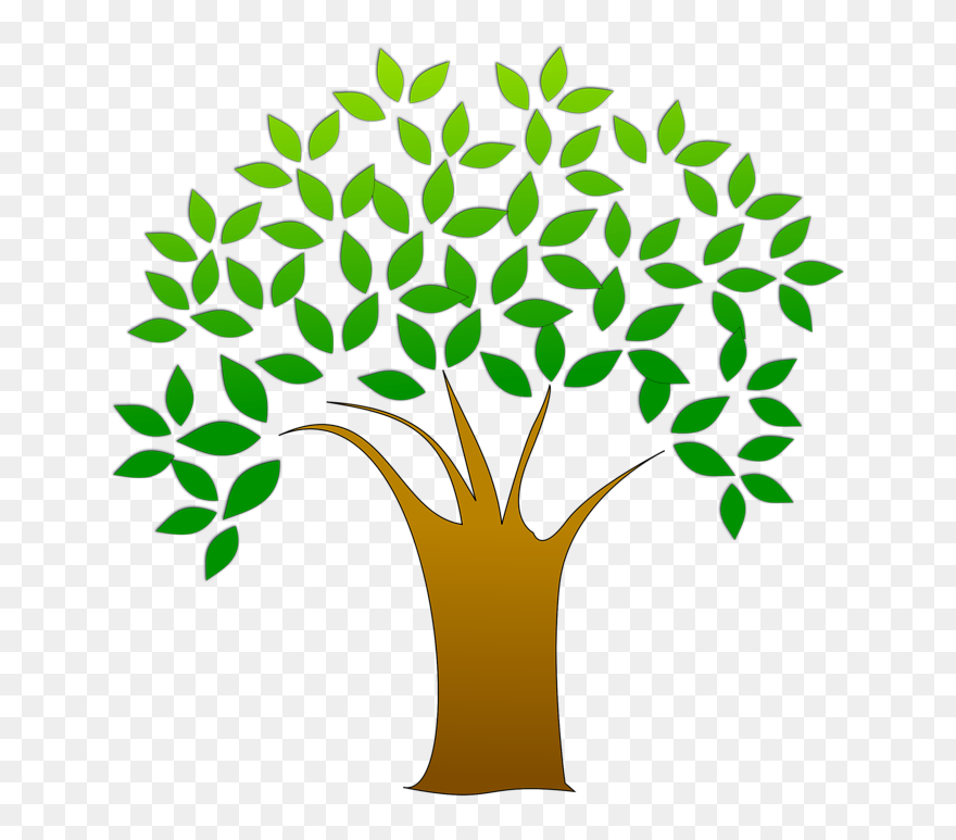 Giving Tree Clipart - Tree Clipart Transparent Background - Png Download