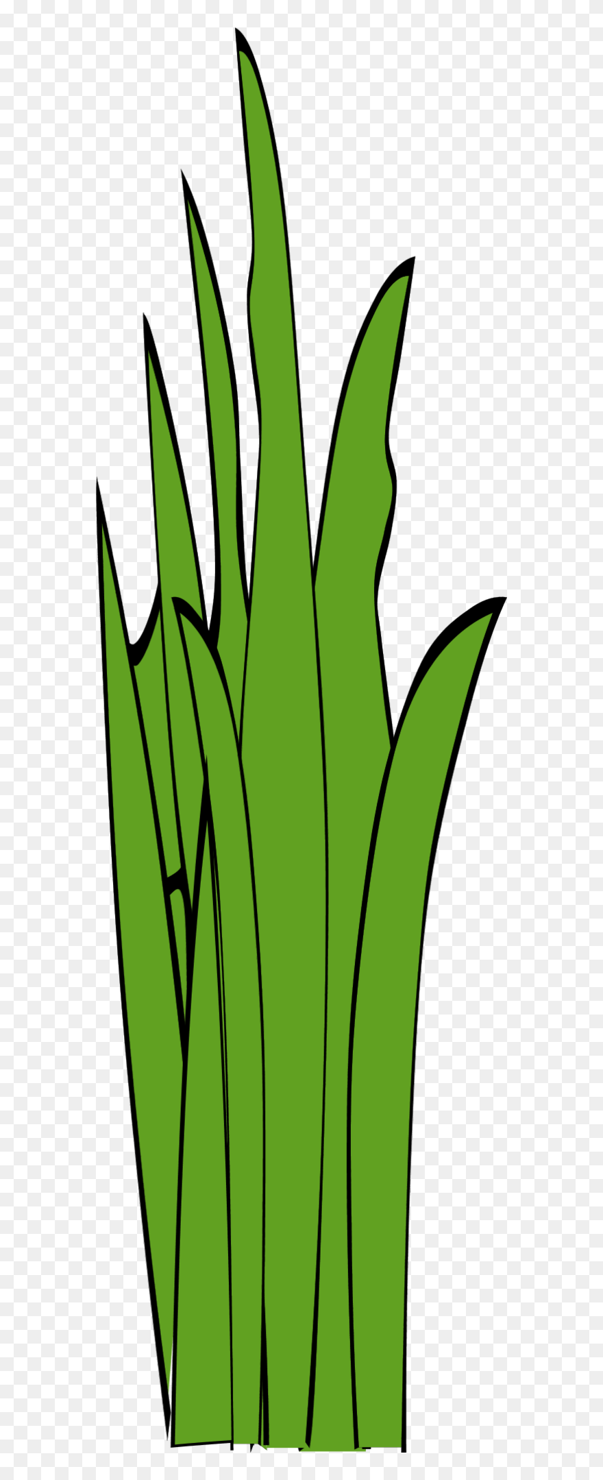 Cat Tails Clipart Clip Freeuse Library 28 Collection - Clipart Long Grass - Png Download