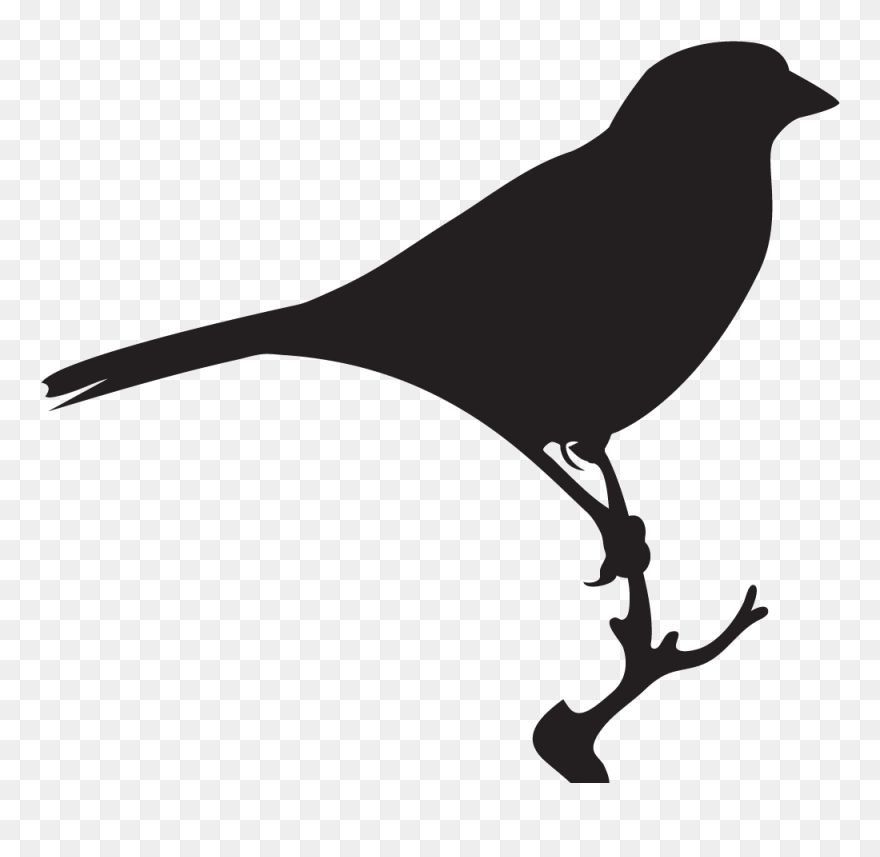 Swamp Sparrow Clipart Bird Sing - White Crowned Sparrow Silhouette - Png Download