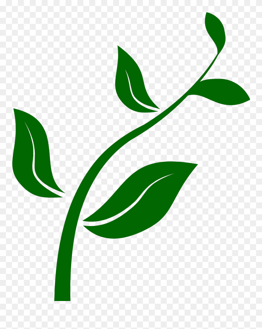 Growing Plant Svg Clip Arts - Growing Plant Clip Art - Png Download