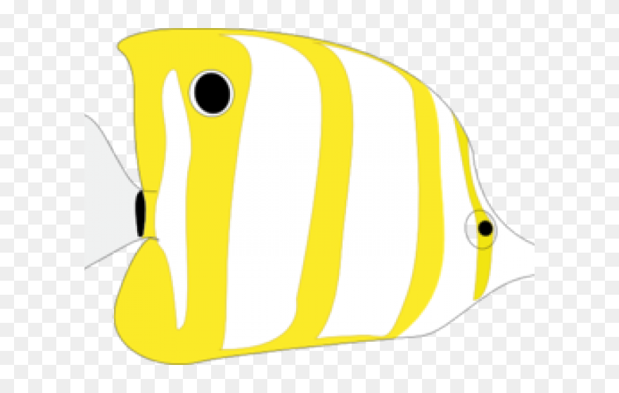 Transparent Marine Biologist Clipart - Tropical Fish - Png Download