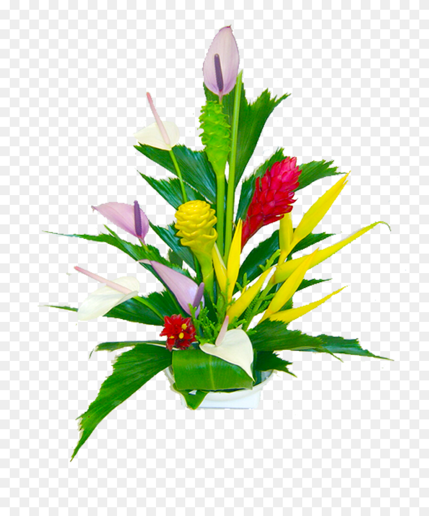 April Fool In Telugu Clipart