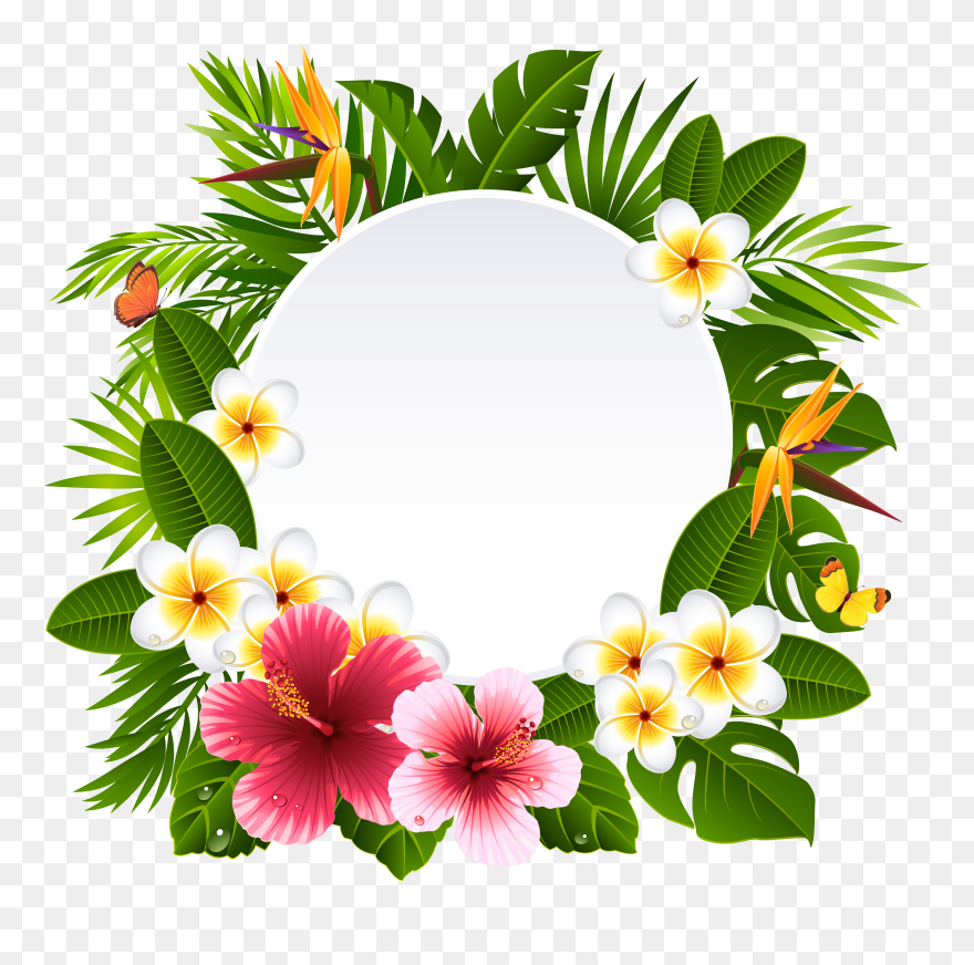 Tropical Frame Cliparts - Clipart Hawaiian Lei - Png Download