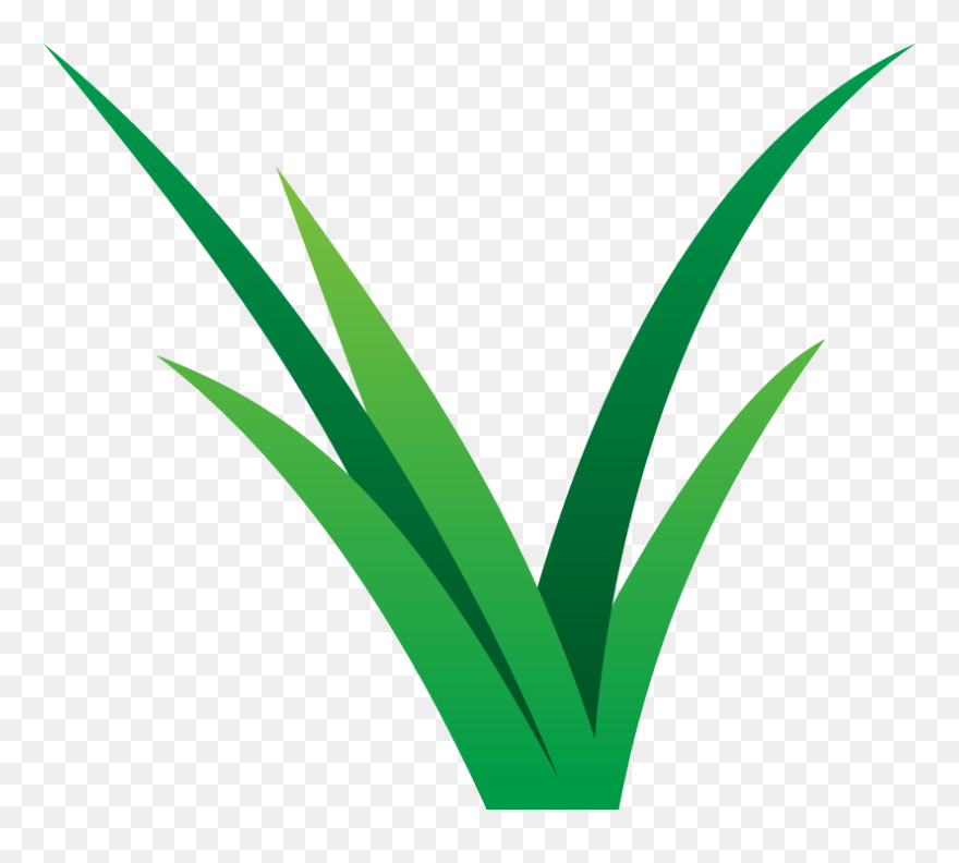 Vibrant Lawn Care - Lawns Care Png Clipart