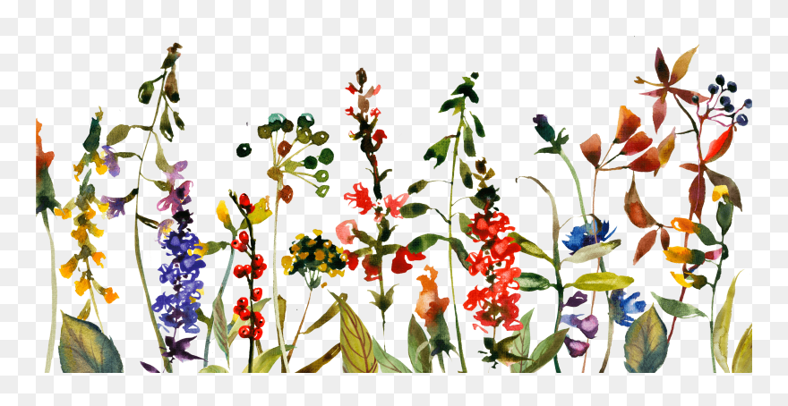 Save The Date Blumensommer-blumen Minimalistic Karte - Transparent Background Wildflower Png Clipart